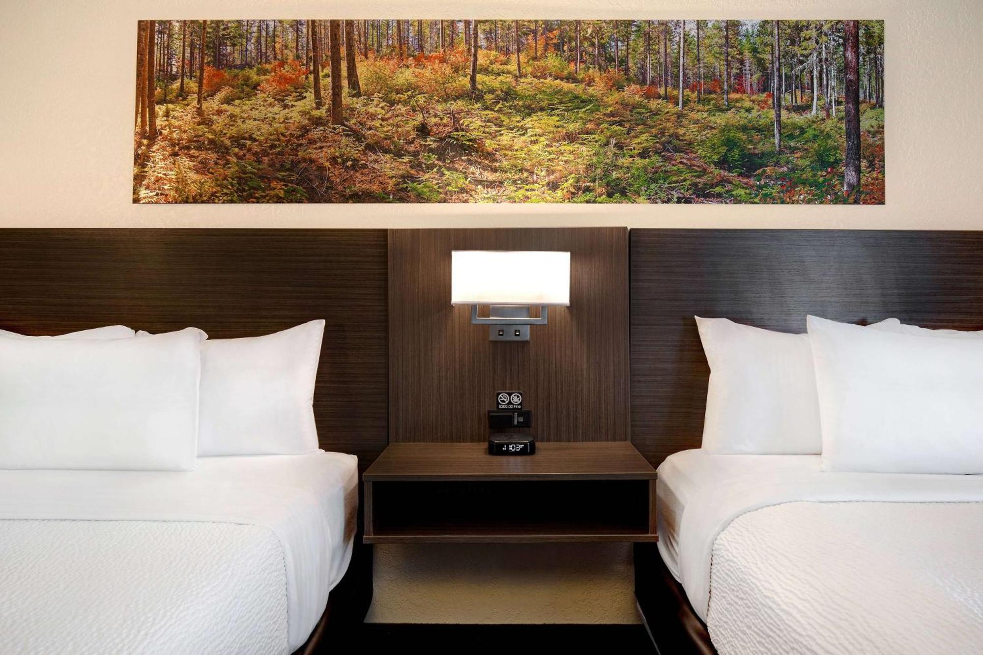 Days Inn & Conference Centre By Wyndham Prince Albert Buitenkant foto